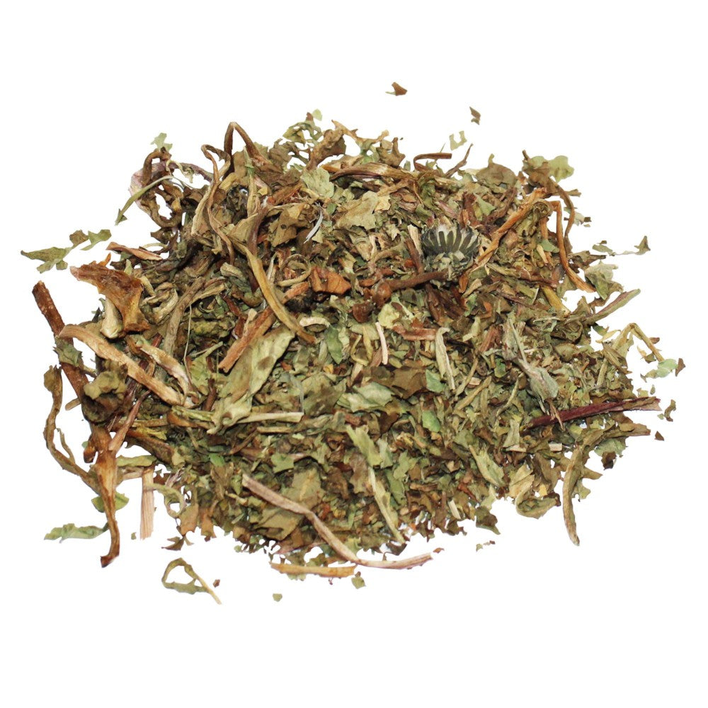 Çaj - Gjethe qumështore